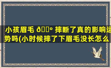 小孩眉毛 🌺 摔断了真的影响运势吗(小时候摔了下眉毛没长怎么办)